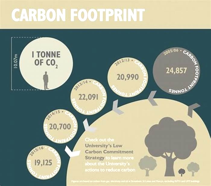 A Comprehensive Guide on Using Your Smartwatch for Environmental Sustainability Tracking Monitoring Your Carbon Footprint