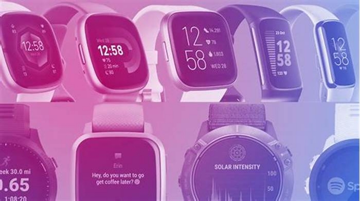 Which is more expensive Fitbit or Garmin?